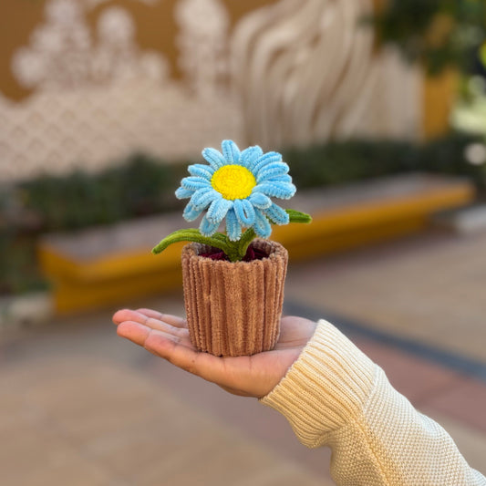 Daisy Flower Pot
