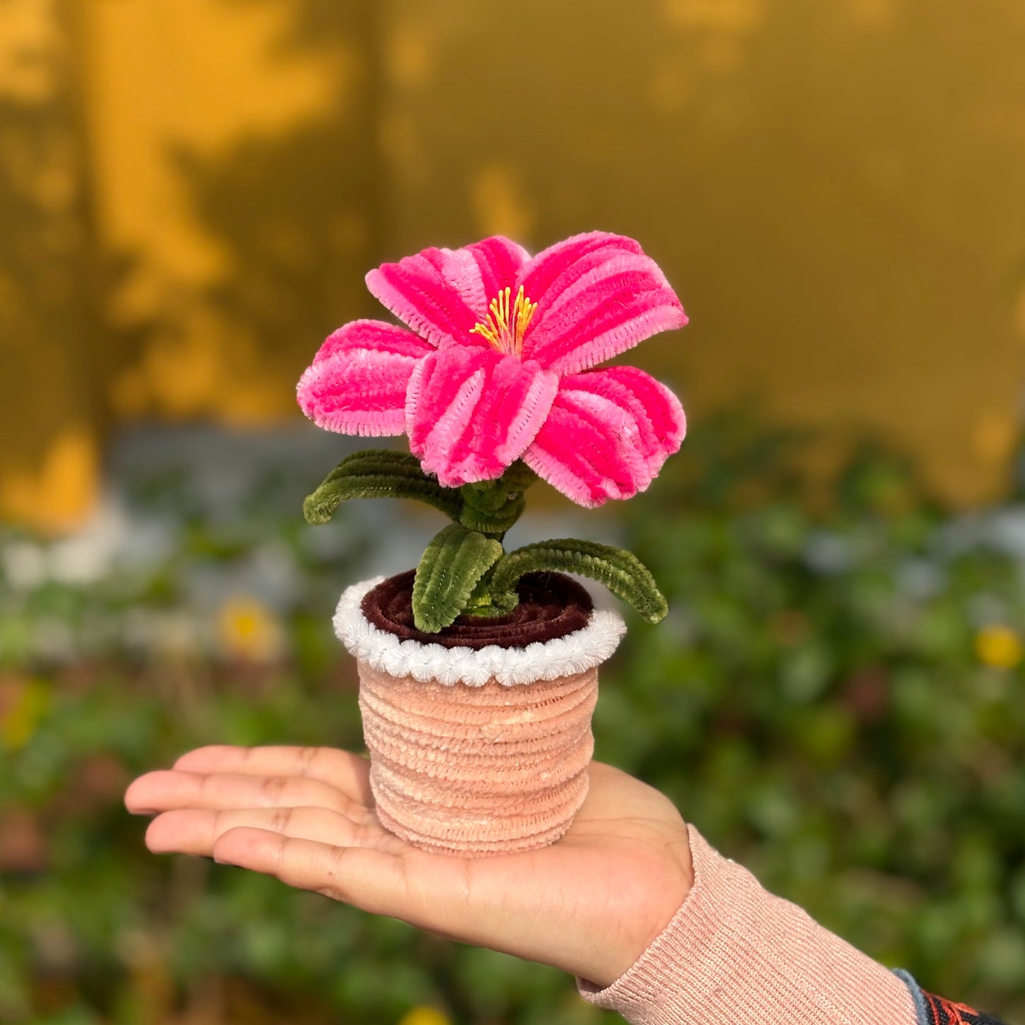 Some pink flower that I don't know the name of