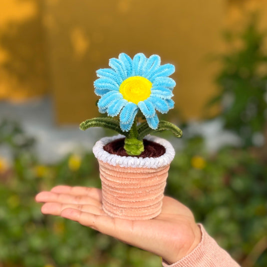 Daisy Flower Pot