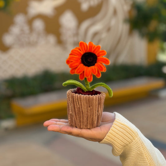 Sunflower Pot