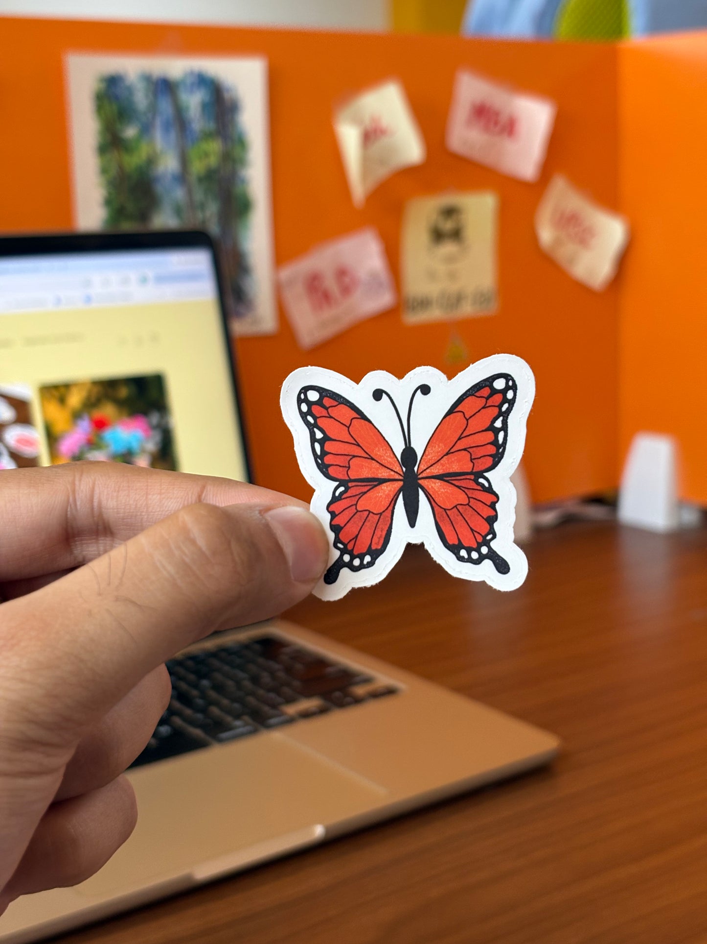 Butterfly