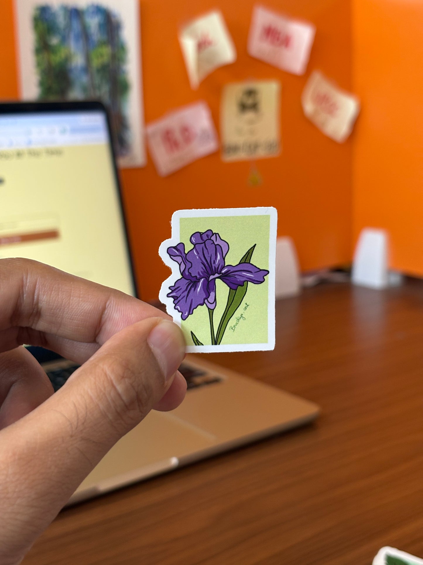 Iris