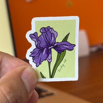Iris