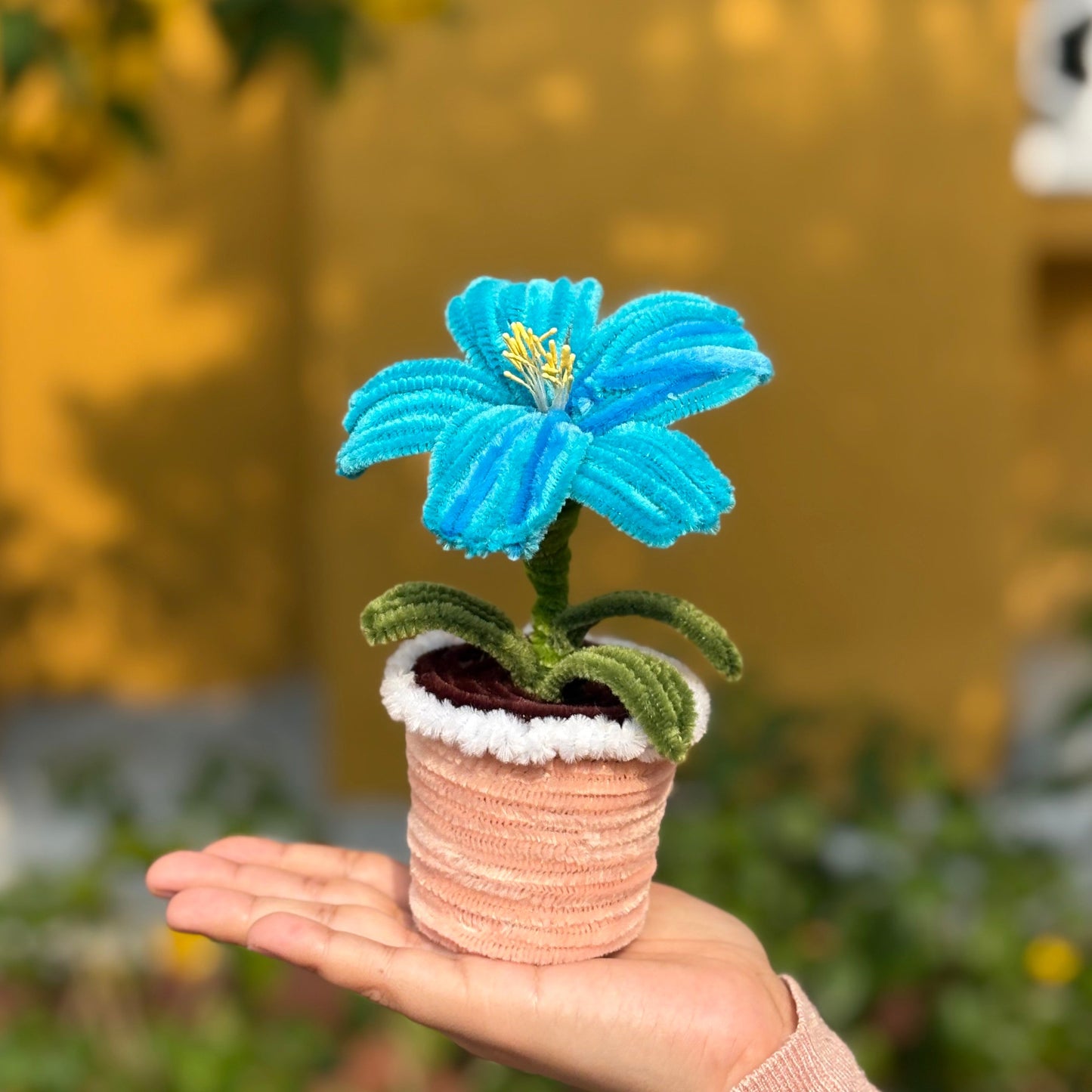 I am out of names-flower pot
