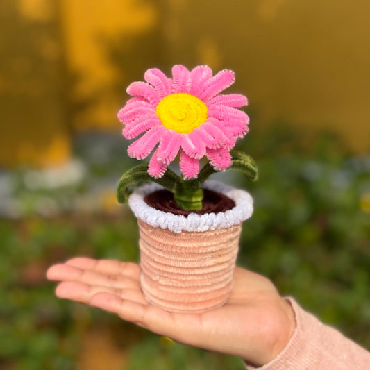 Daisy Flower Pot