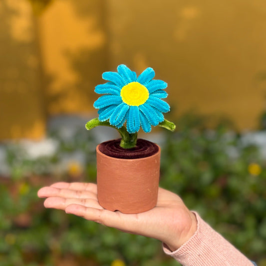 Daisy in Earthen Pot