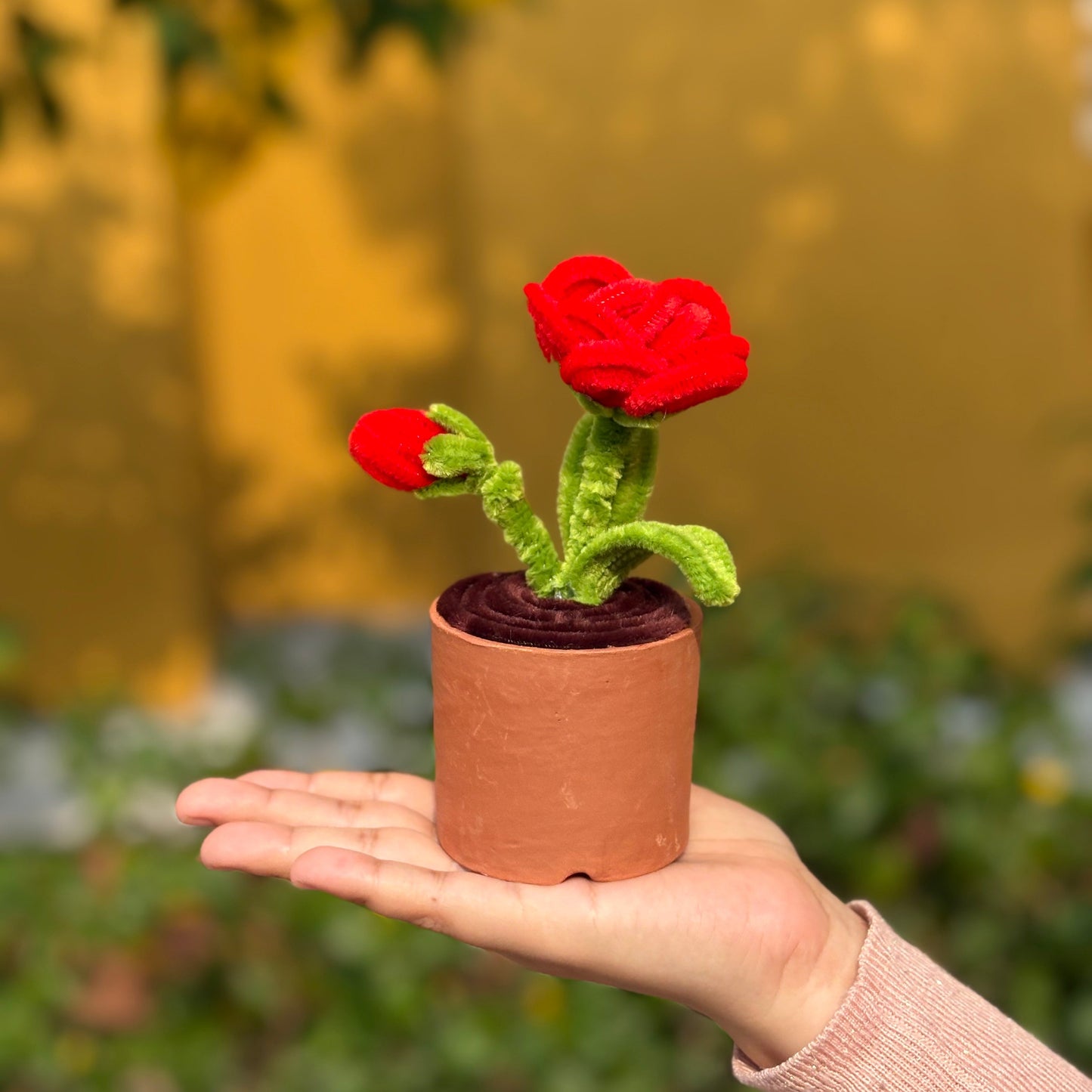 Rose in an Earthen Pot