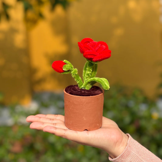 Rose in an Earthen Pot