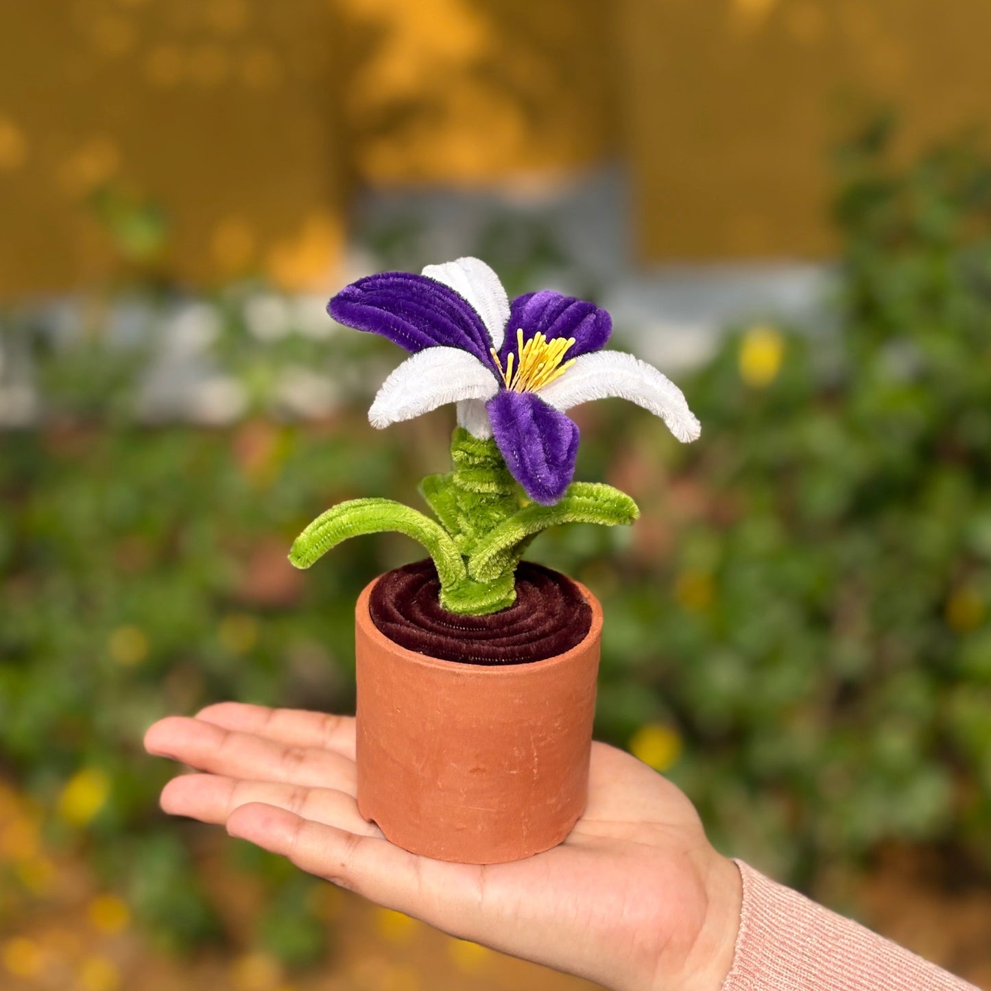 God knows if this exists - Earthen Pot