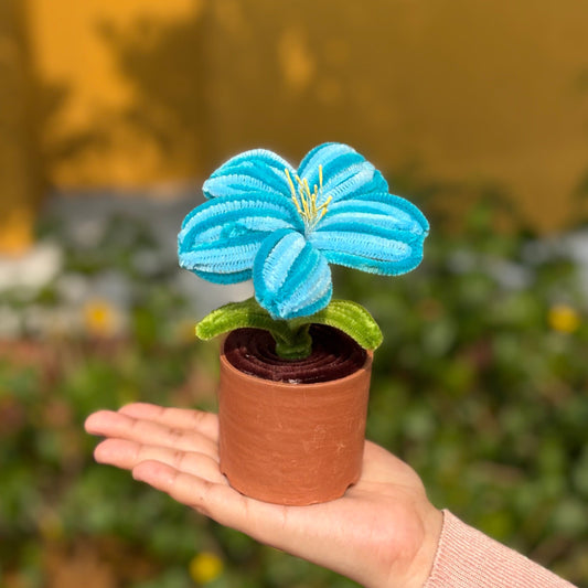 Some Blue flower in Earthen Pot